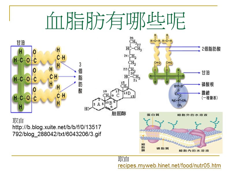 高血脂的防治.ppt_第3页