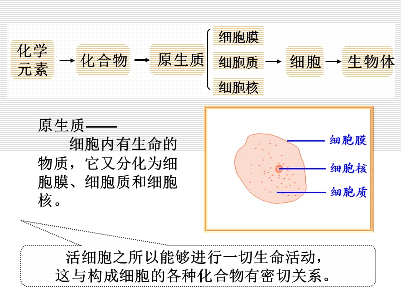 第二节组成生物体的化合物.ppt_第2页