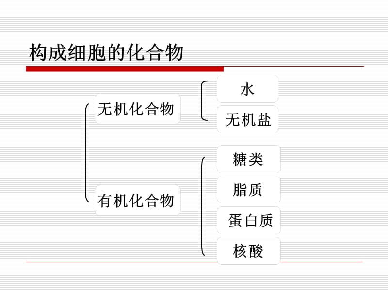 第二节组成生物体的化合物.ppt_第3页