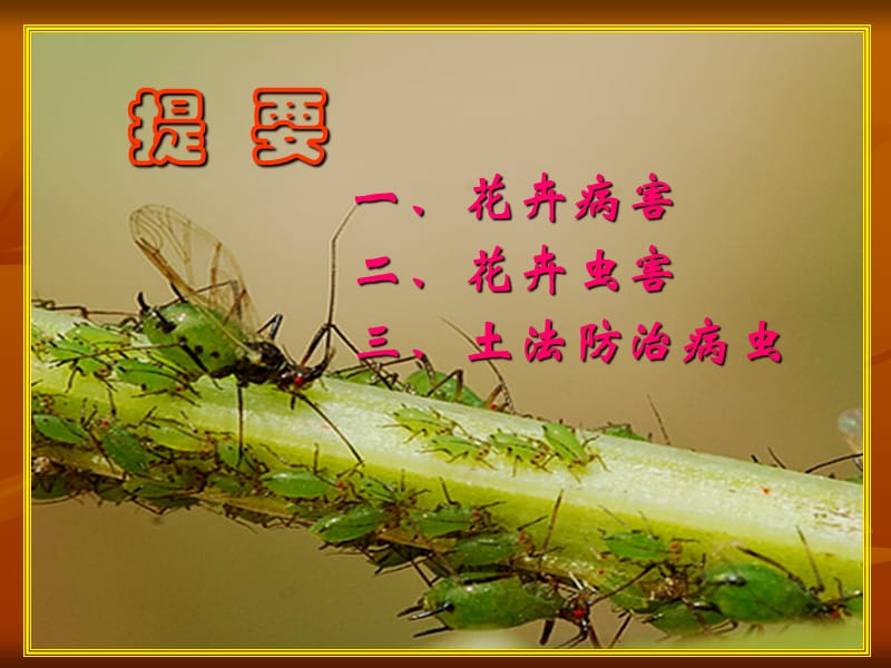 花卉病虫害防治.ppt_第2页