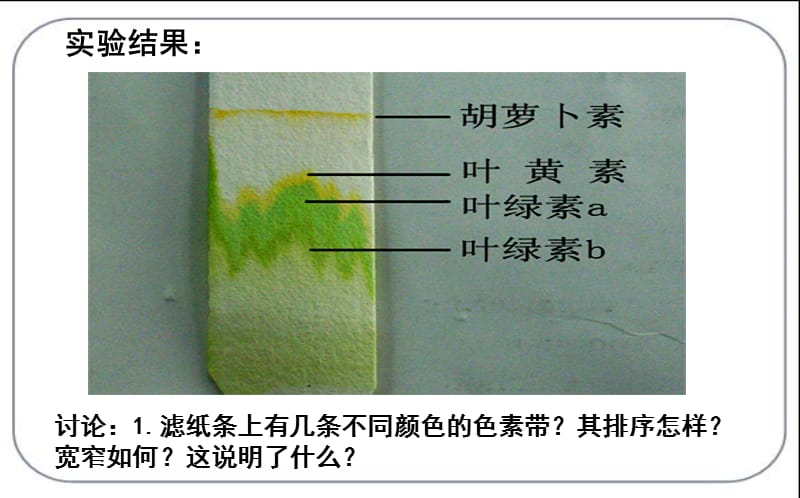 能量之源光与光合作用正式.ppt_第3页