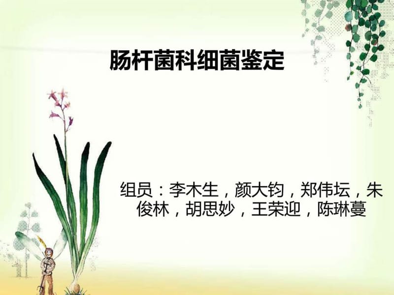 肠杆菌科细菌鉴定.ppt.ppt_第1页