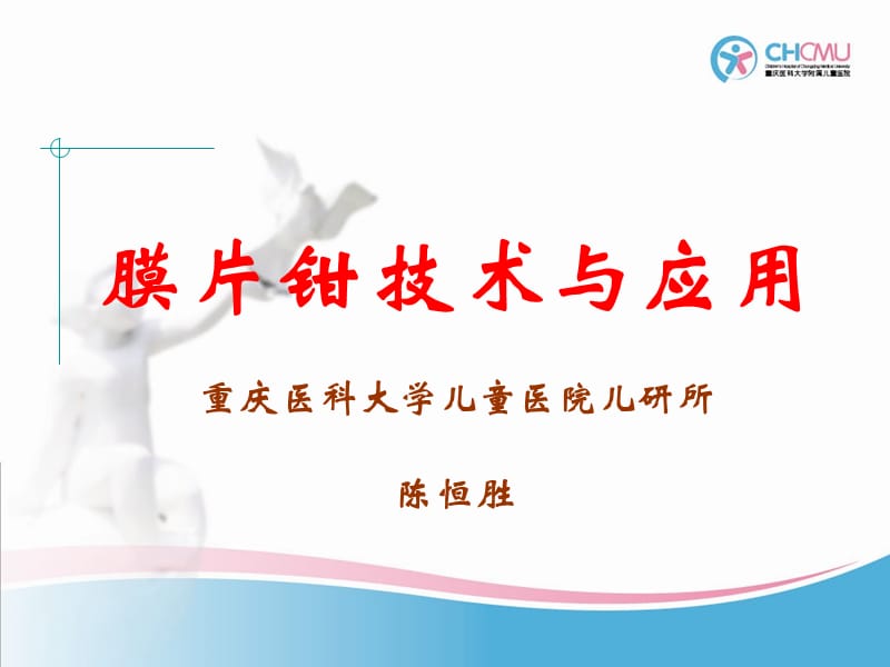 膜片钳技术及其应用2010.ppt_第1页