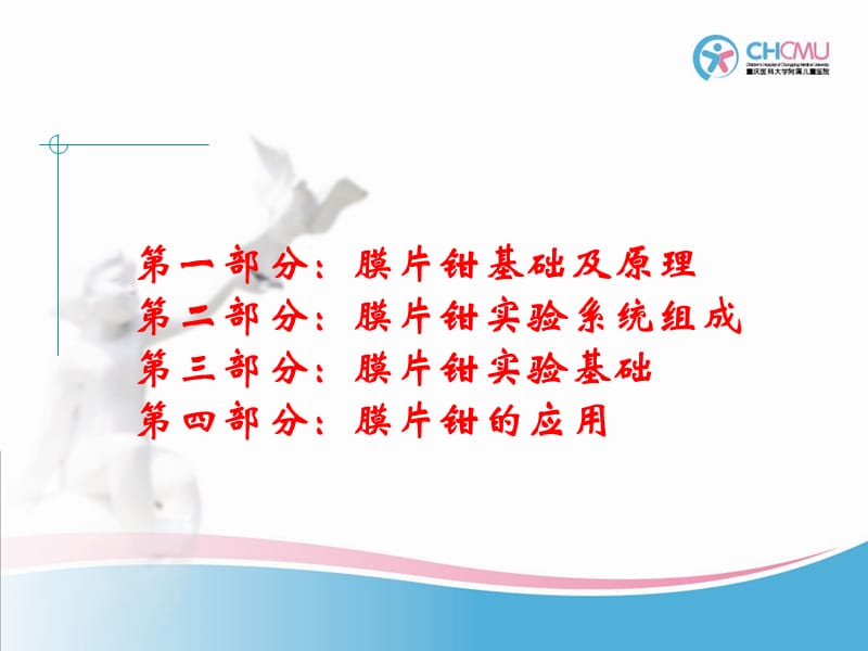 膜片钳技术及其应用2010.ppt_第2页