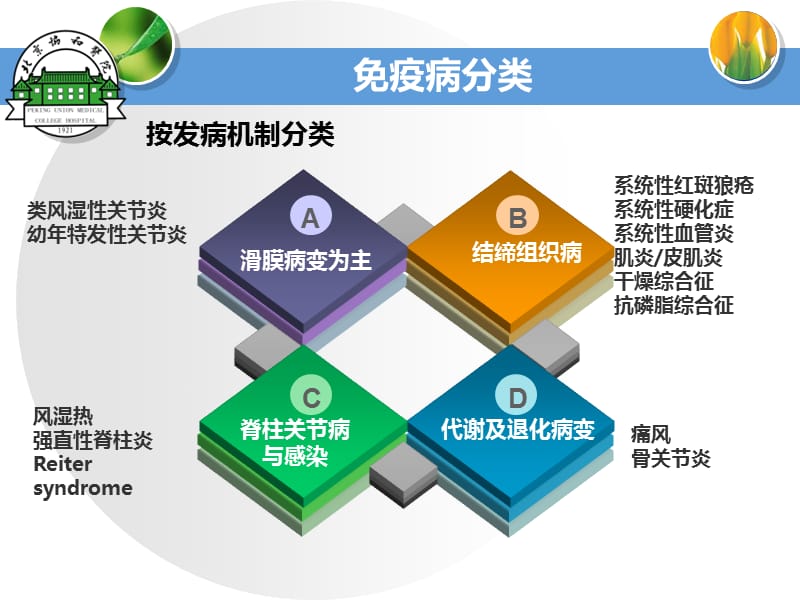 风湿免疫病合并严重冠脉病变.ppt_第3页