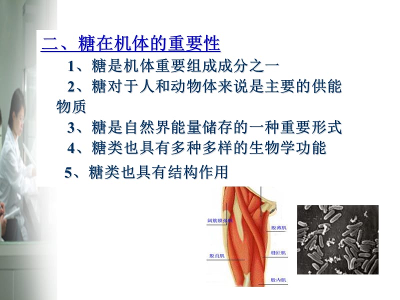 第二章糖类化学及糖类生物药物(压缩).ppt_第3页