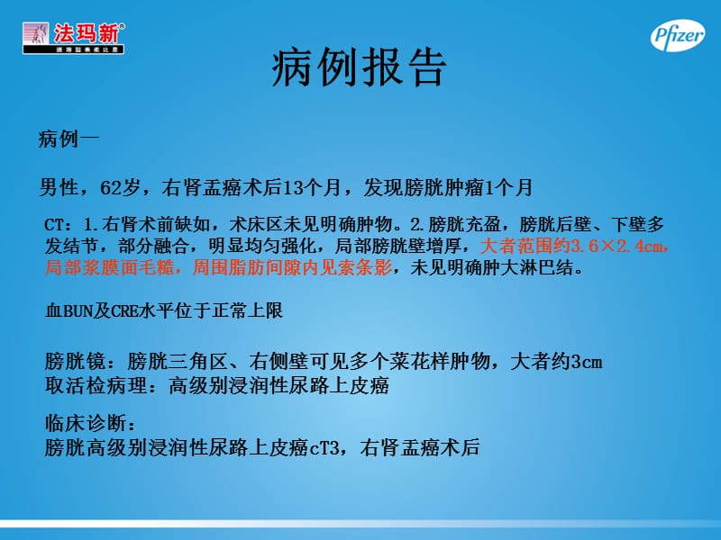 膀胱癌病例报告.ppt_第2页