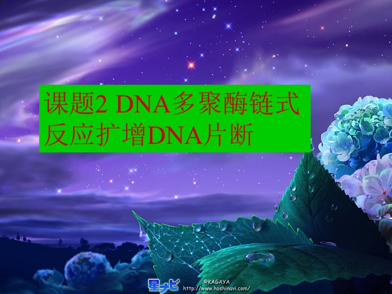 课题2DNA多聚酶链式反应扩增DNA片断.ppt_第1页