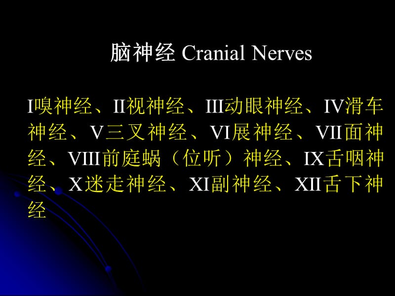 脑神经植物神经ppt课件.ppt_第1页