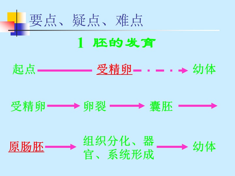 高等动物个体发育.ppt_第2页