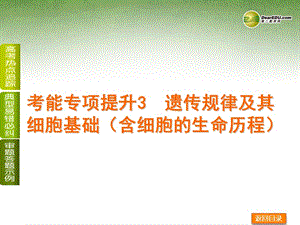 考能专项提升3遗传规律及其细胞基础含细胞的生命历程.ppt