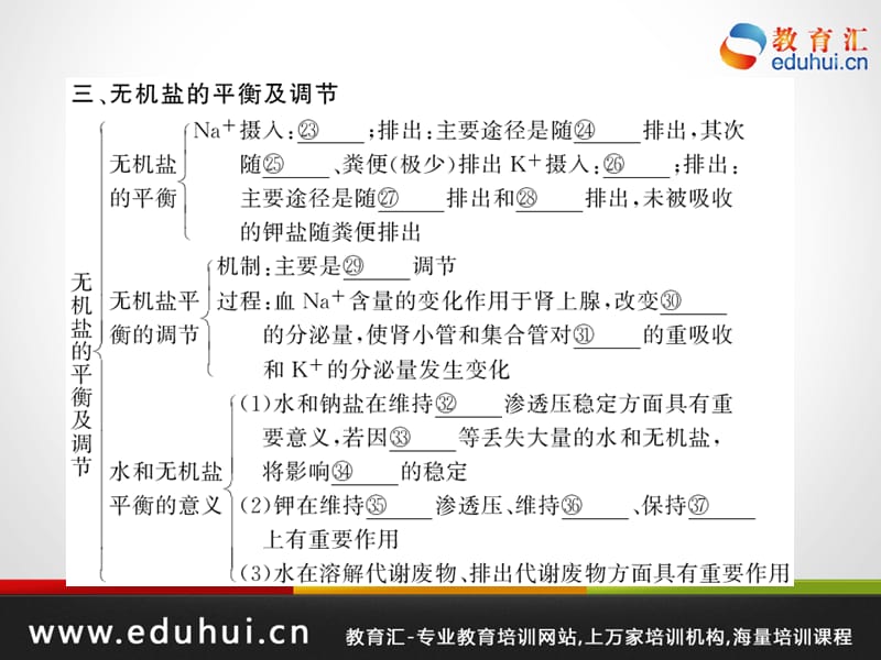 高考生物第一轮复习精品课件包第九单元人体生命活动的调节和免疫38.ppt_第3页