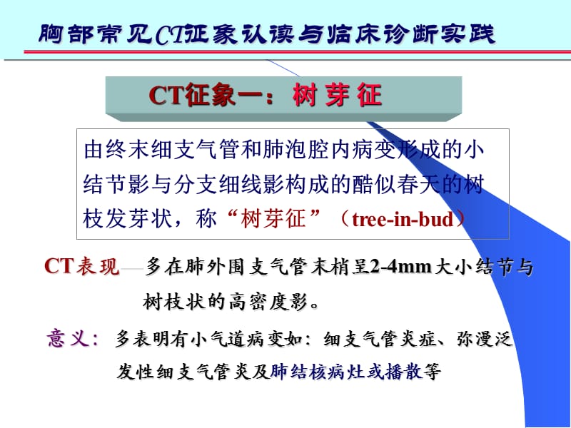 肺部CT十大征象诊断应用.ppt_第3页