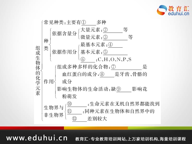 高考生物第一轮复习精品课件包第一单元生命的物质基础考点二.ppt_第2页