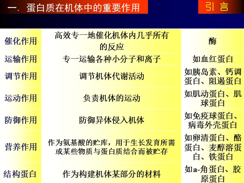 南京农业大学生化课件1.ppt_第2页