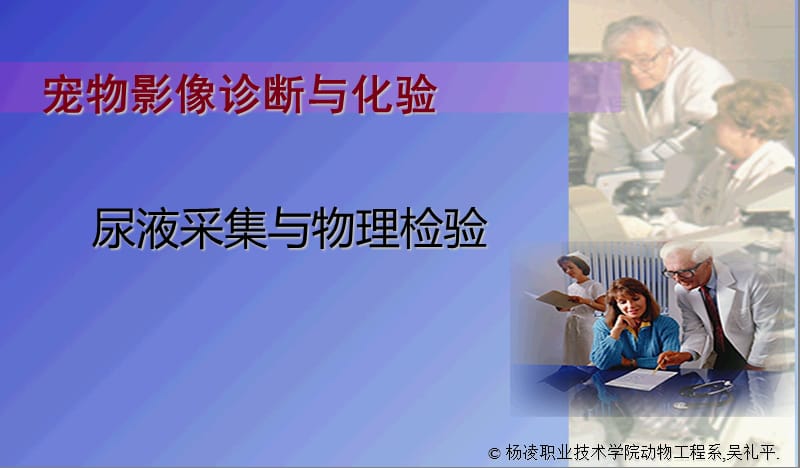 尿液样品采集 及尿液的感官检验.ppt_第1页