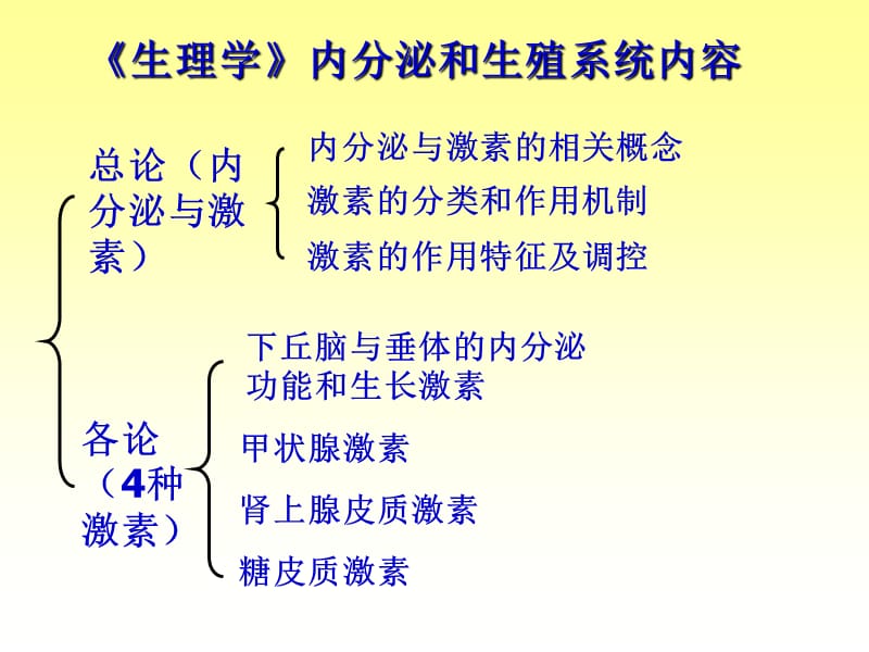 内分泌系统-11.ppt_第2页