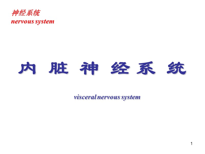 七讲：内脏神经系统.ppt_第1页