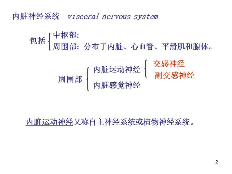 七讲：内脏神经系统.ppt_第2页