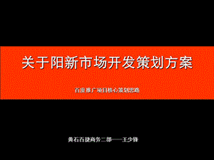 黄石关于阳新市场开发策划方案（王少锋）.ppt