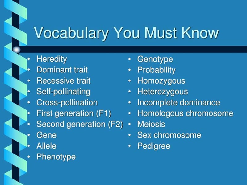 孟德尔遗传 减数分裂_生物学_自然科学_专业资料.ppt_第2页