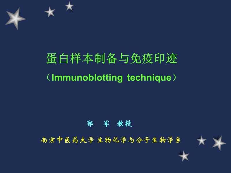 免疫印迹技术.ppt_第1页