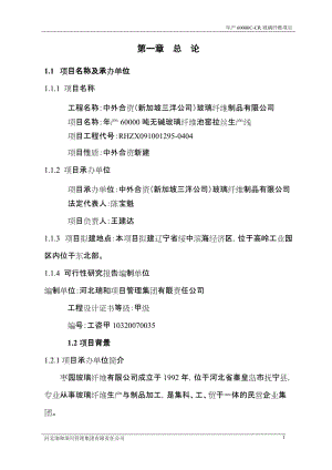 产6万吨无碱池窑玻璃纤维生产线项目可研报告.doc