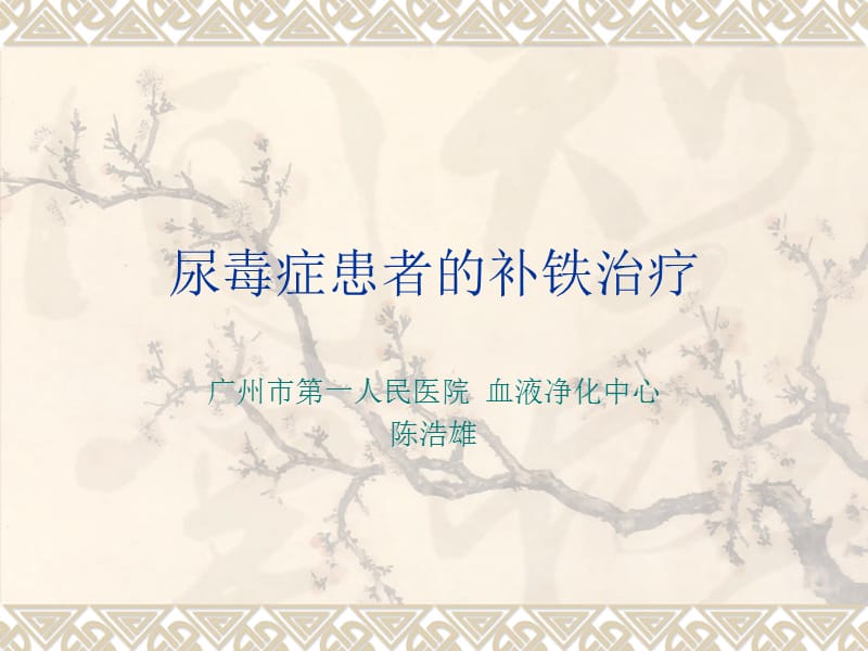 尿毒症患者的补铁治疗.ppt_第1页