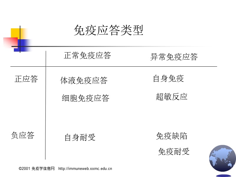 免疫应答的分子机制.ppt_第3页