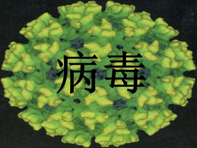 七年级生物病毒课件.ppt_第1页