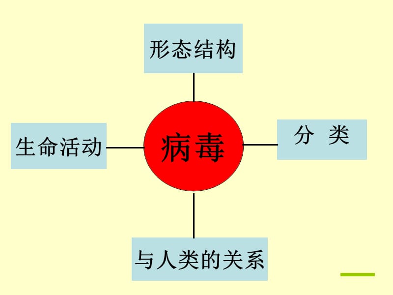 七年级生物病毒课件.ppt_第2页