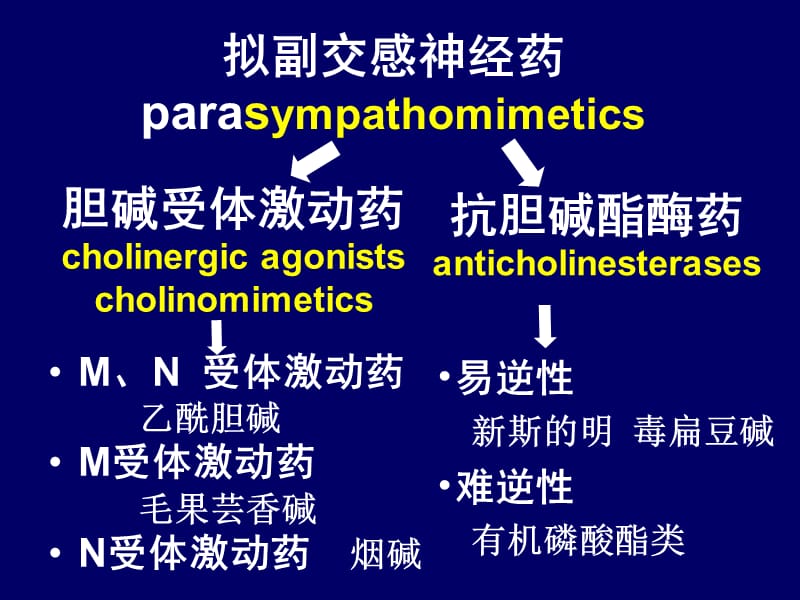 拟副交感神经药.ppt_第2页