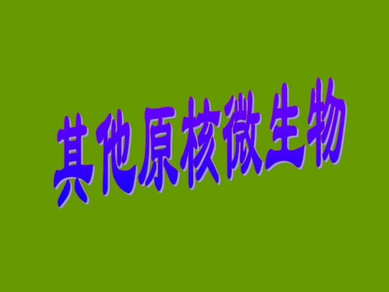 其他原核微生物.ppt_第1页