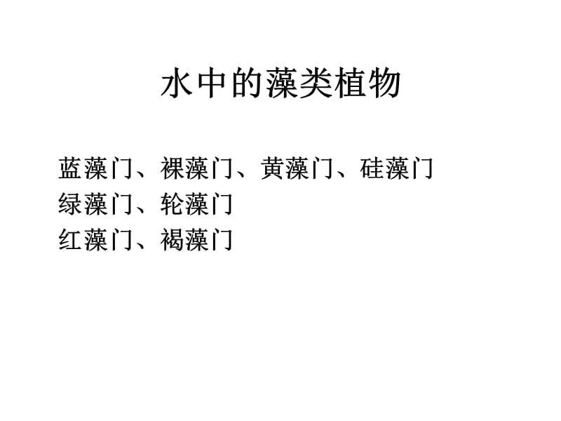 七年级生物水中的藻类植物.ppt_第1页