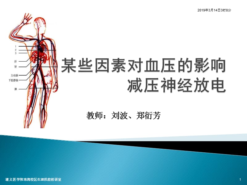 某些因素对血压的影响减压神经放电.ppt_第1页