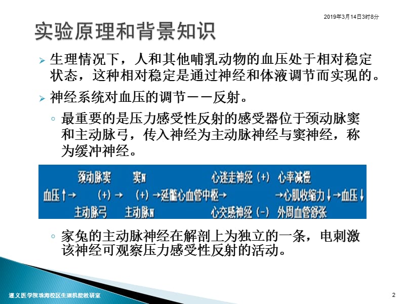 某些因素对血压的影响减压神经放电.ppt_第2页