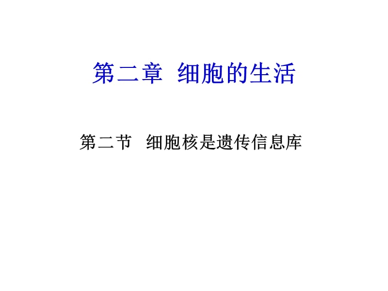 七年级生物细胞核是遗传信息库.ppt_第2页