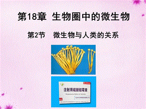 2015秋八年级生物上册 第十八章 第二节 微生物与人类的关系课件 北师大版.ppt