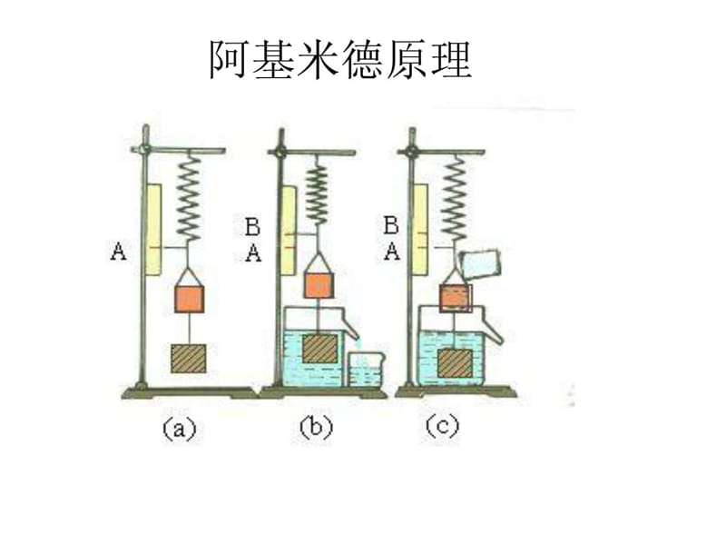 阿基米德原理_1459545626.ppt_第1页