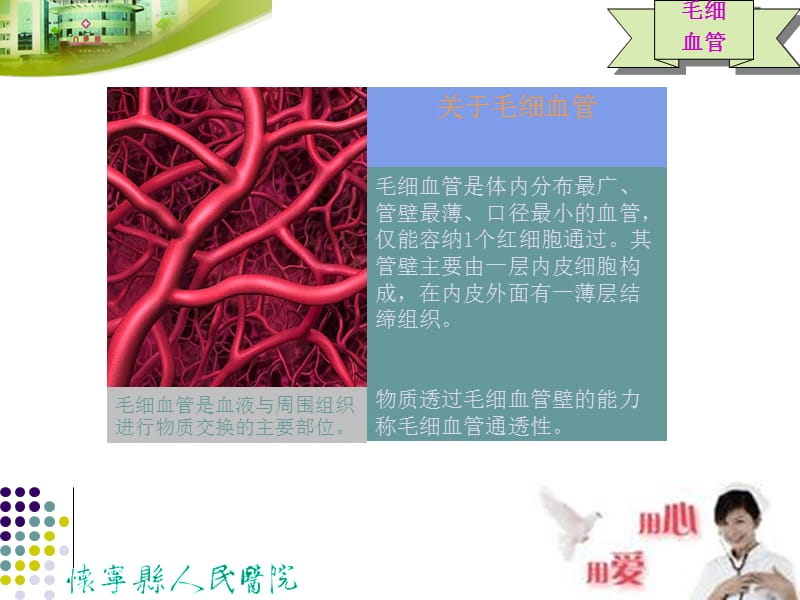 毛细血管渗漏综合征幻灯片.ppt_第2页