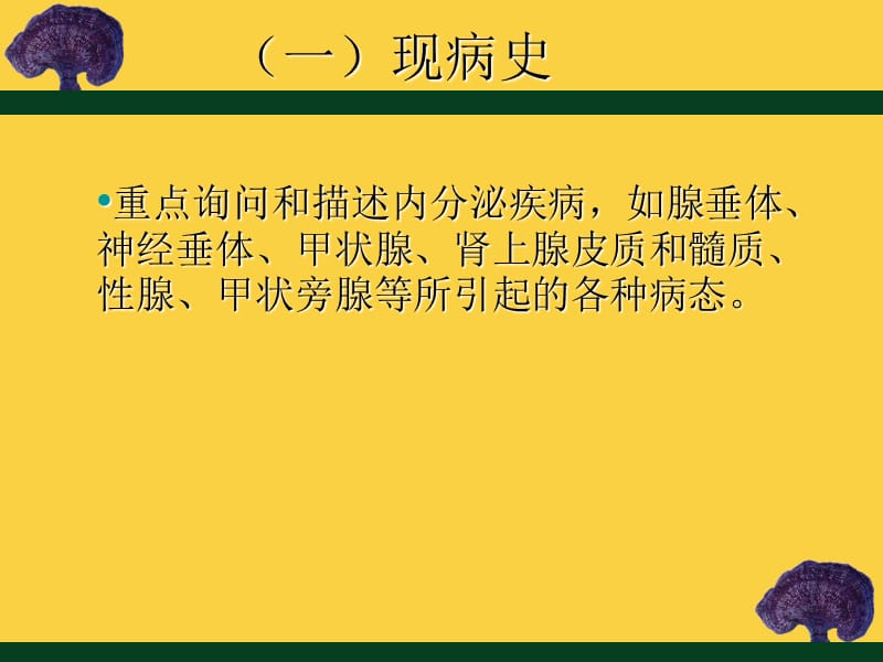 内分泌科病历书写.ppt_第2页