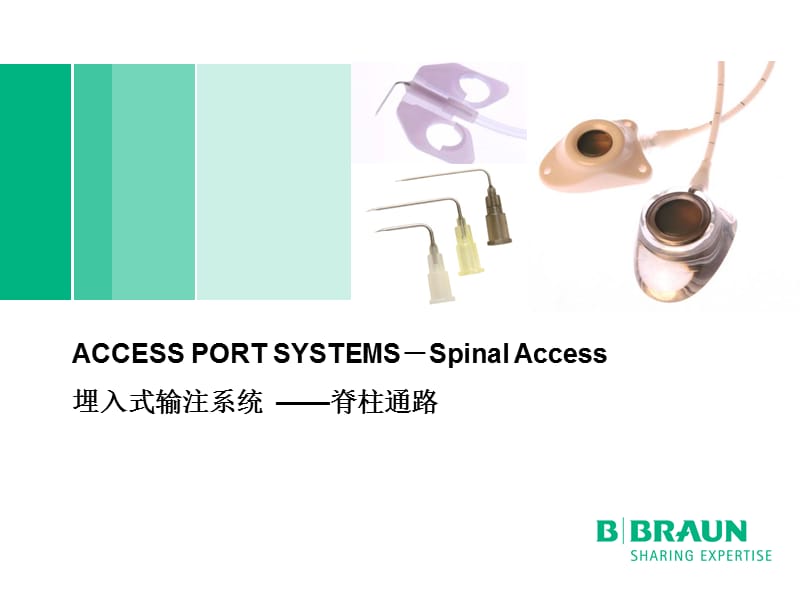 埋入式输注系统之椎管内通路药盒.ppt_第1页