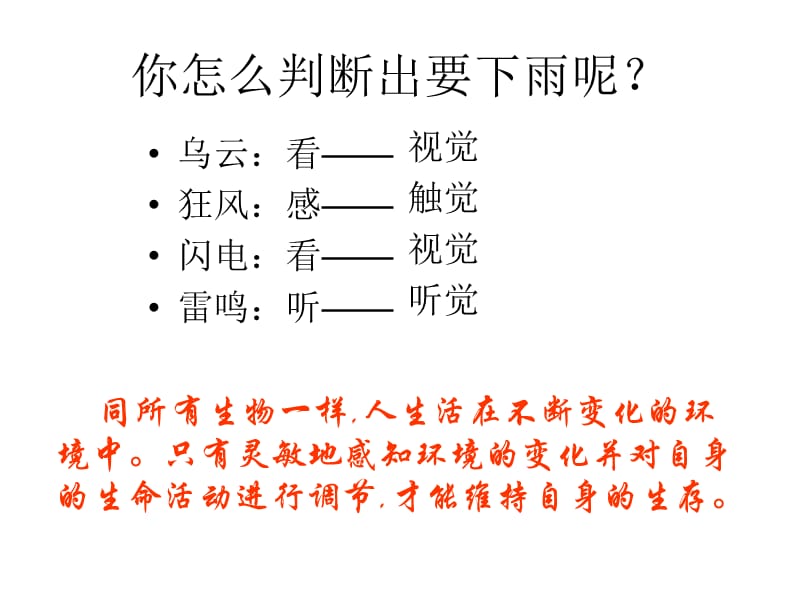 七年级生物人体对外界环境的感知-(2).ppt_第3页