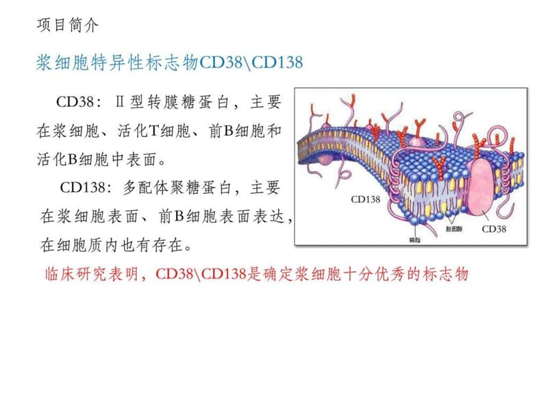 慢性子宫内膜炎诊断标志物检测.ppt.ppt_第2页