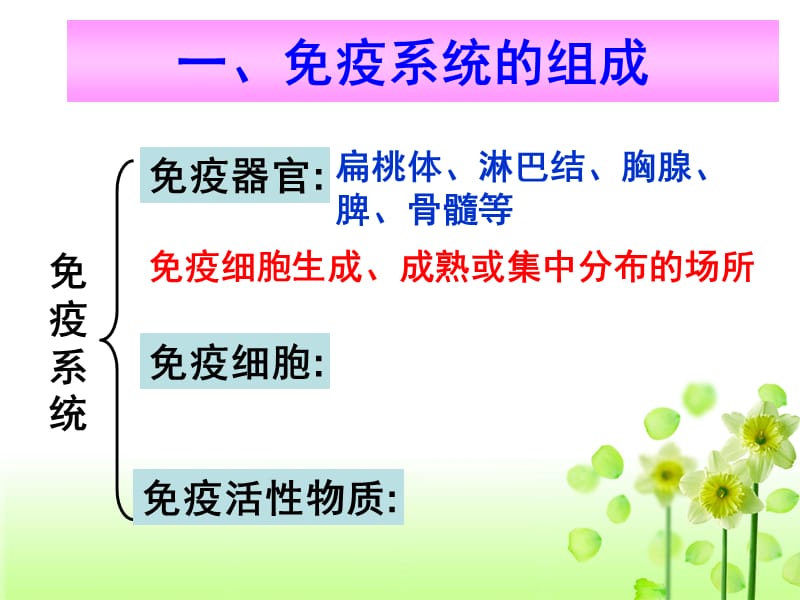 第节免疫调节.ppt_第3页