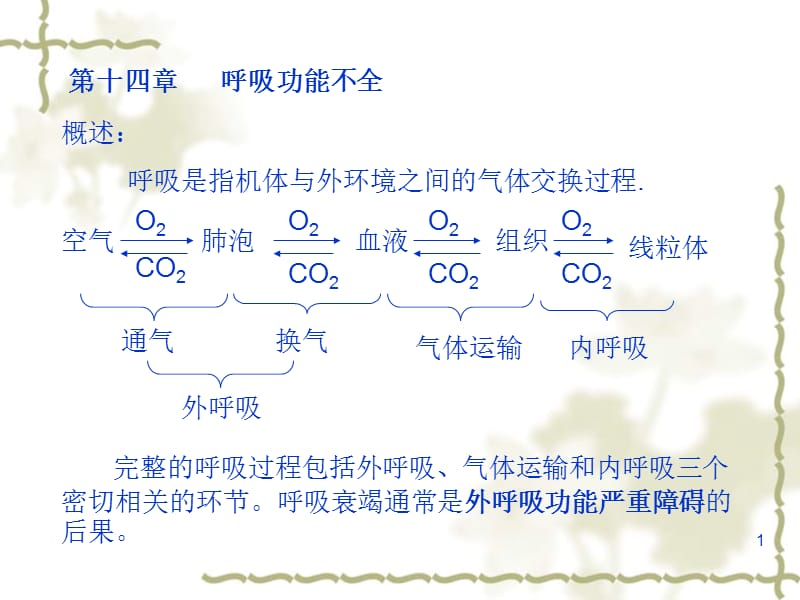 第十四章呼吸功能不全.ppt_第1页