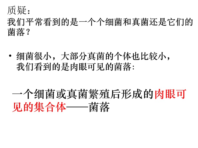 第一节细菌和真菌的分布000001.ppt_第3页