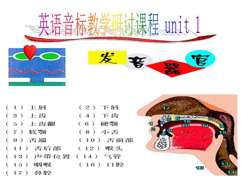 [小学教育]48个英语音标教学课件.ppt_第2页