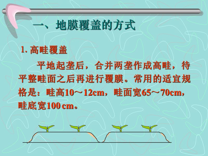 第二节地膜覆盖SectionIIMulching.ppt_第3页