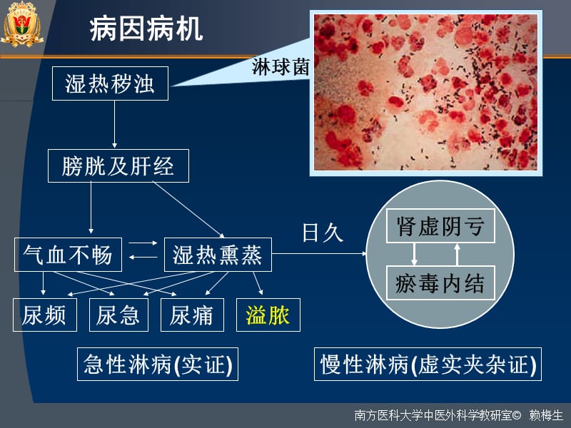 第十一部分第25部分淋病gonorrhea教学课件.ppt_第3页